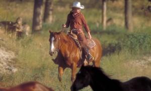 Three Bars Ranch horseback riding